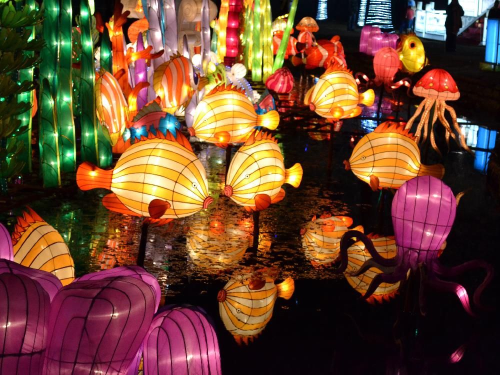 Pinterest Paper lanterns in China Town in the Philippines.